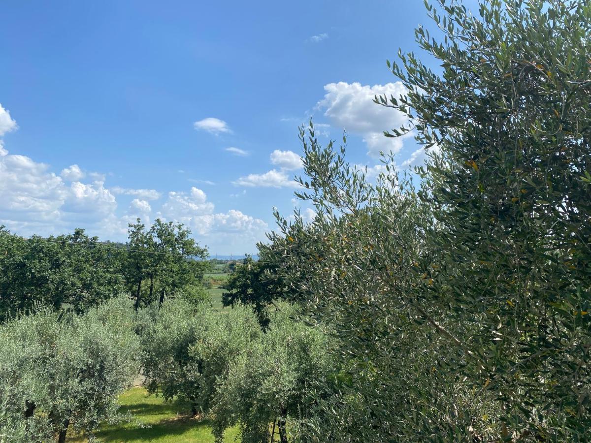 Accanto A Firenze Прато Экстерьер фото